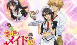 会长是女仆大人动漫全集,甜蜜女仆的奇幻冒险之旅